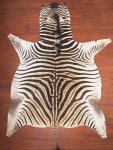A Grade Zebra Hide 040 L