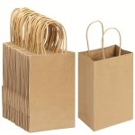 10PCS Plain Medium Bulk Brown Kraft Paper Bags With Handles Grocery Shopping Retail Bags Small Business Supplies Birthday Weddin