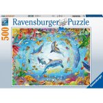 - Cage Dive - 500PC Puzzle