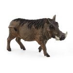 Wildlife - Warthog