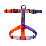Finn Harness - Dog Harness - Small