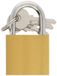 Padlock 32MM - None Gold