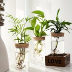 1PC Hydroponics Plants Desktop Glass Planter Vase For Home Decoration Plant Propagation Station Bud Vase Desktop Hydroponics Pla