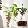 1PC Hydroponics Plants Desktop Glass Planter Vase For Home Decoration Plant Propagation Station Bud Vase Desktop Hydroponics Plant Vases For Living Room Table Decoration