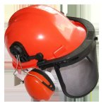 Forestry Kit With Ear Muff