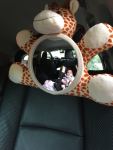 Rearview Car Mirror - Teddy