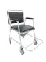 Basic Commode Chair With Wheels