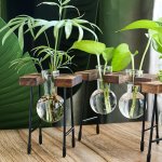 1PC Transparent Glass Vase Hydroponic Glass Bottle For Living Room Study Office Creative Desktop Decoration Flower Arrangement D