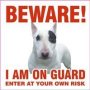 Beware - Bull Terrier