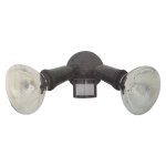 Eurolux Security Light With Sensor Black 125MM