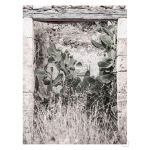 Nature Rules Art Print - A3