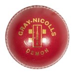 Gray-nicolls Demon 2 PC Cricket Ball