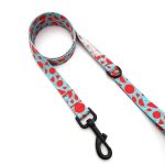 Dog Lead Melon-dramatic - Small