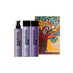 Silver Gift Set Sham Cond & Treat