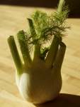 Fennel Sweet Florence Seed - 5 G Raw Seed