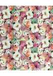 Printed Dty