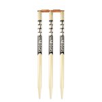 Ss Senior Club Cricket Stumps