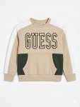 Guess Boys Long Sleeve Sweatshirt In Beige - Green 6