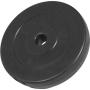 Vinyl Weight Plate 5KG