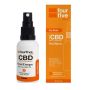 Fourfive Premium Tested 600MG Recovery Cbd Oil For Pain