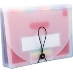 Expanding File Organizer With Colorful Dividers - White 12 Divider