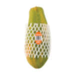 Papaya Single