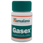 Gasex 100S