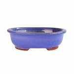 Assorted Glazed Bonsai Pots 12" - Light Blue Oval With Lip 31 X 25 X 8CM