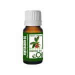 Wintergreen Natural Essential Oil - 10 Ml