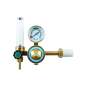 Flow Meter Argon/co