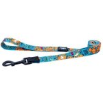 Rogz Fusion Classic Small Lead - Electric Turquoise Waggs Online Pet Shop