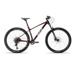 Z29 Elite 2026 - Black XL