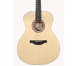HG-100 Grand Auditorium Acoustic Guitar