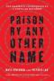Prison By Any Other Name - The Harmful Consequences Of Popular Reforms   Hardcover
