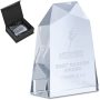 Milestone Altitude Award