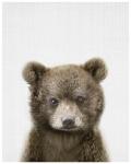 Baby Bear Canvas Print - 600MM X 600MM