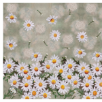 Printed Poncho Daisies