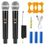 Andowl Q-MIC002 Professional Wireless Microphone System
