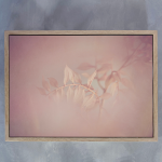Blush Dreams 5 Art Print - A3 Framed Canvas With Natural Wood Frame