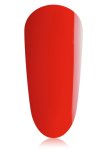 Candy MINI