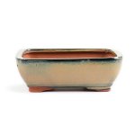 Assorted Glazed Bonsai Pots 7" - Mustard Rectangle 17 X 14 X 6CM