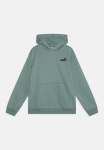 Puma Unisex Essential Small NO.1 Logo Hoodie - Sage 11