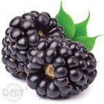 BlackBerry Concentrate - 50ML