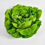 Lettuce Butter 120G P