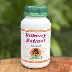 Bilberry Extract 90 Capsules Willow