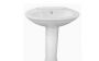 Basin And Pedestal Exclusive - Amazon