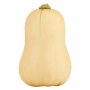 Butternut 6KG