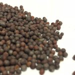 Mustard Seeds - 1KG