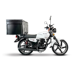 Big Boy Velocity 150CC Commercial