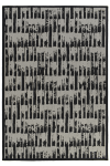 Lino Black Indoor outdoor Rug
